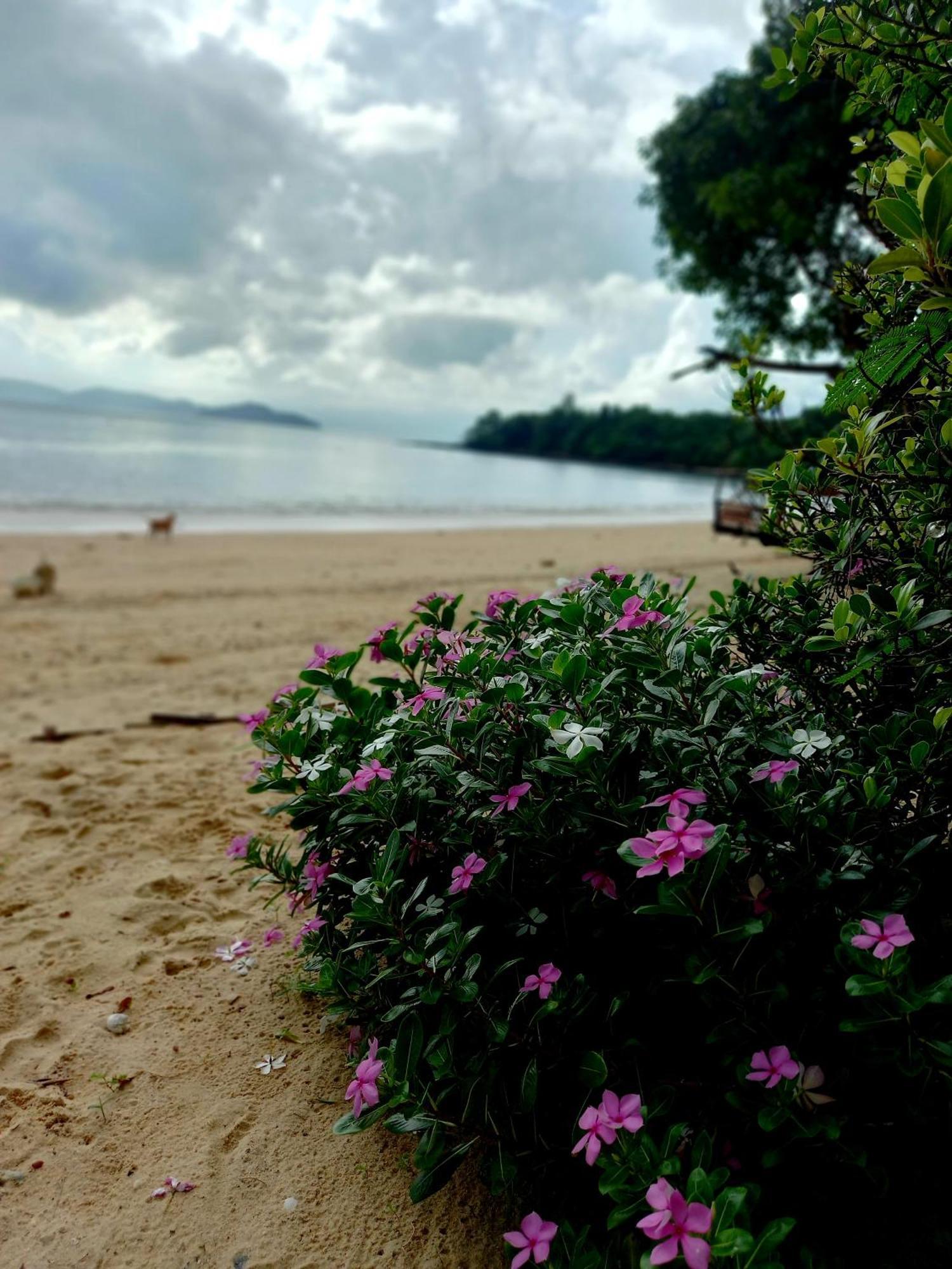 Sabai Sabai Beach Bungalows Koh Phayam Δωμάτιο φωτογραφία